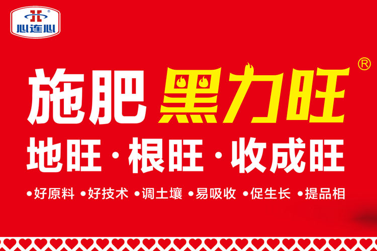 中国·拉斯维加斯(3499·官方认证)网站-Officialwebsite