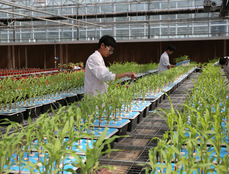 中国·拉斯维加斯(3499·官方认证)网站-Officialwebsite