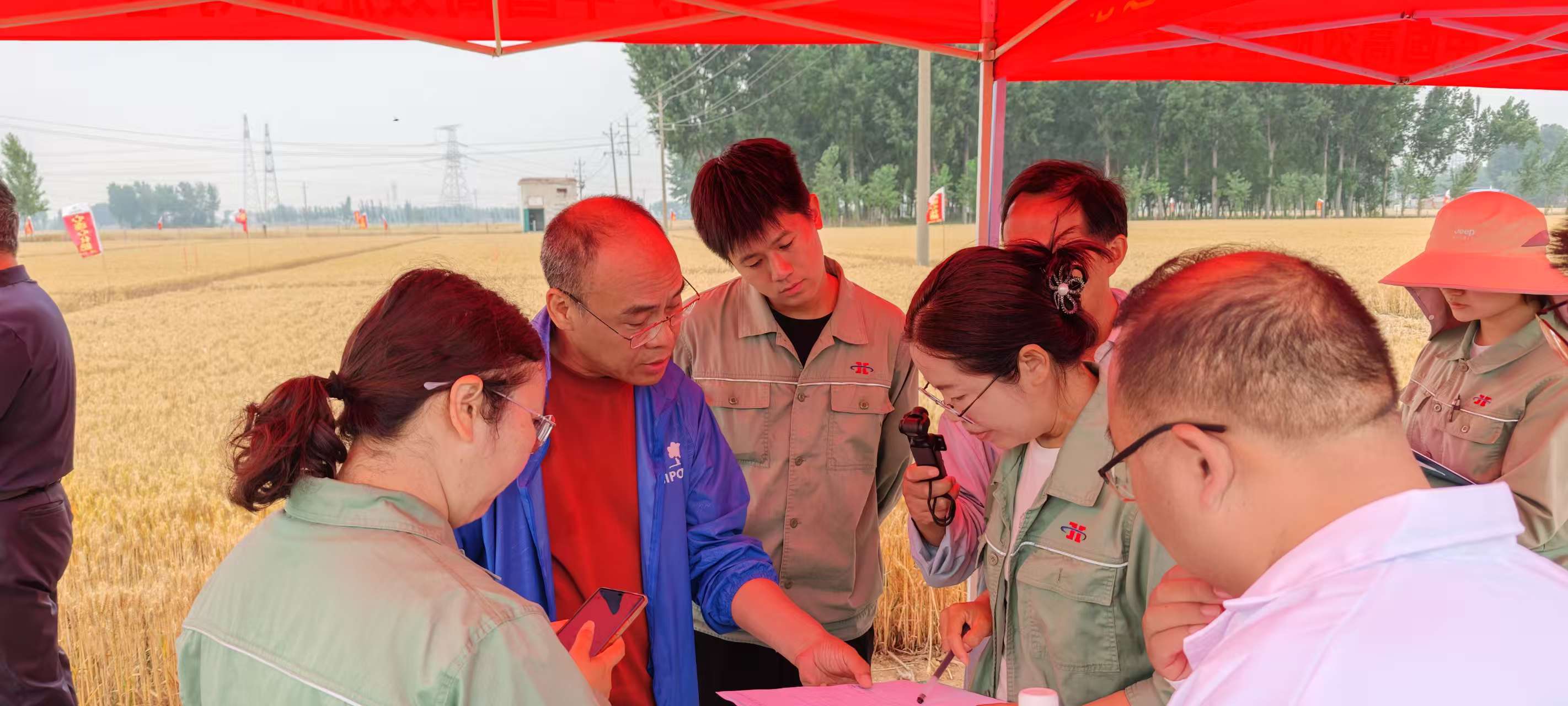 高温旱情下科技赋能农业！3499拉斯维加斯线路集团主持的两个“十四五”课题交出亮眼成就单