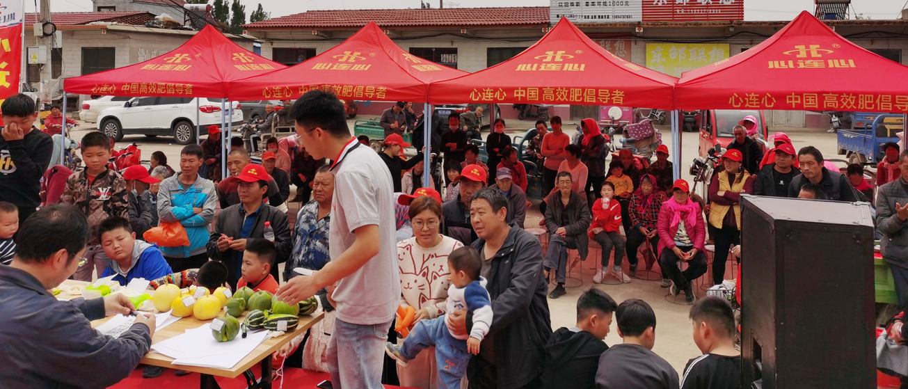 3499拉斯维加斯线路喻屯甜瓜“丰登王”甜美开赛啦……