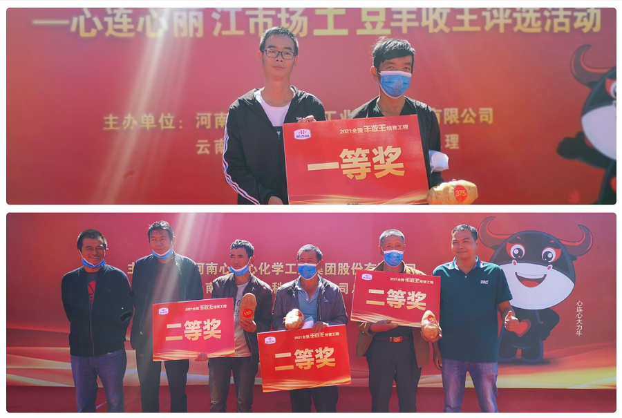 喜迎丰登，薯王争霸！——3499拉斯维加斯线路丽江市场土豆丰登王评比活动成功进行