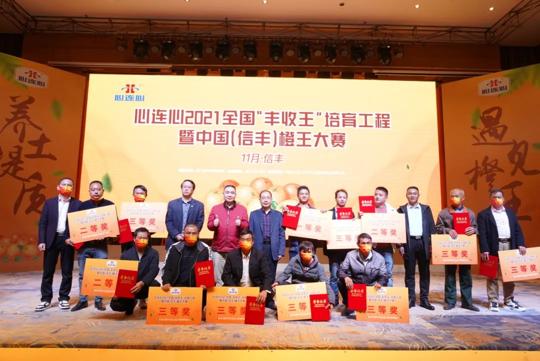 信丰脐橙“丰登王”甜美出炉，3499拉斯维加斯线路助力产区提质增效